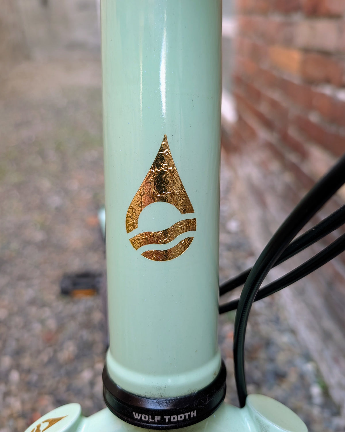 Mint Green Olallie Flat Bar Bicycle, Size Large, Shimano Cues 1x11