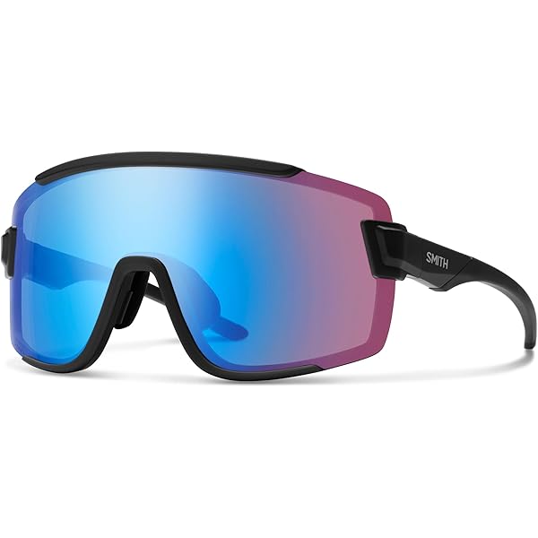Smith Wildcat Performance Men's Sunglasses