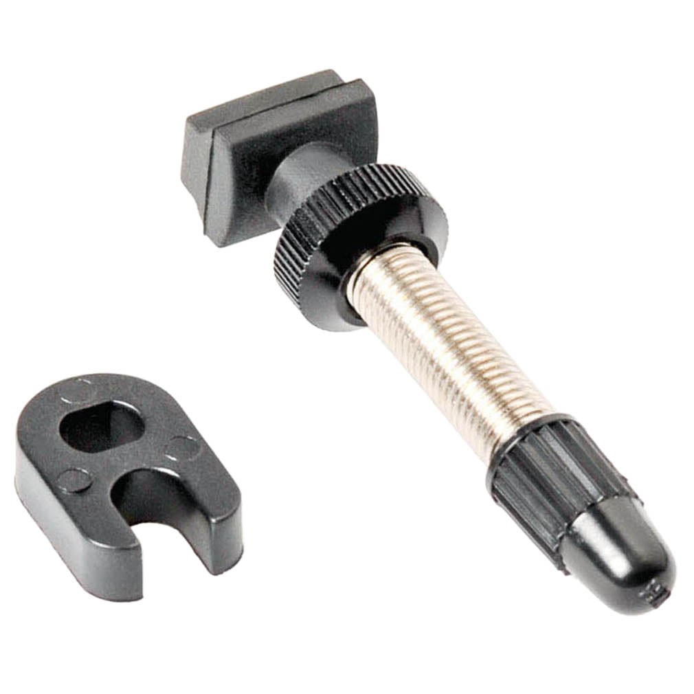 DT Swiss Brass Tubeless Valves
