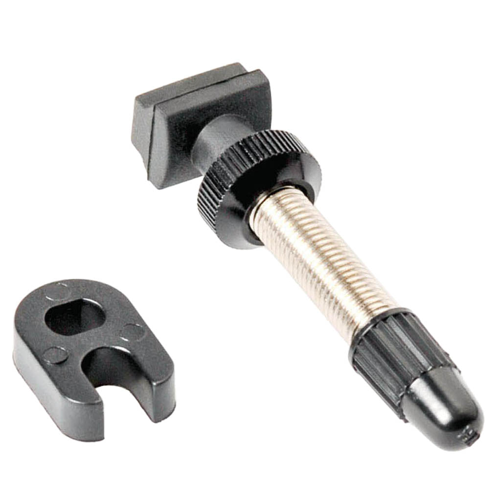 DT Swiss Brass Tubeless Valves