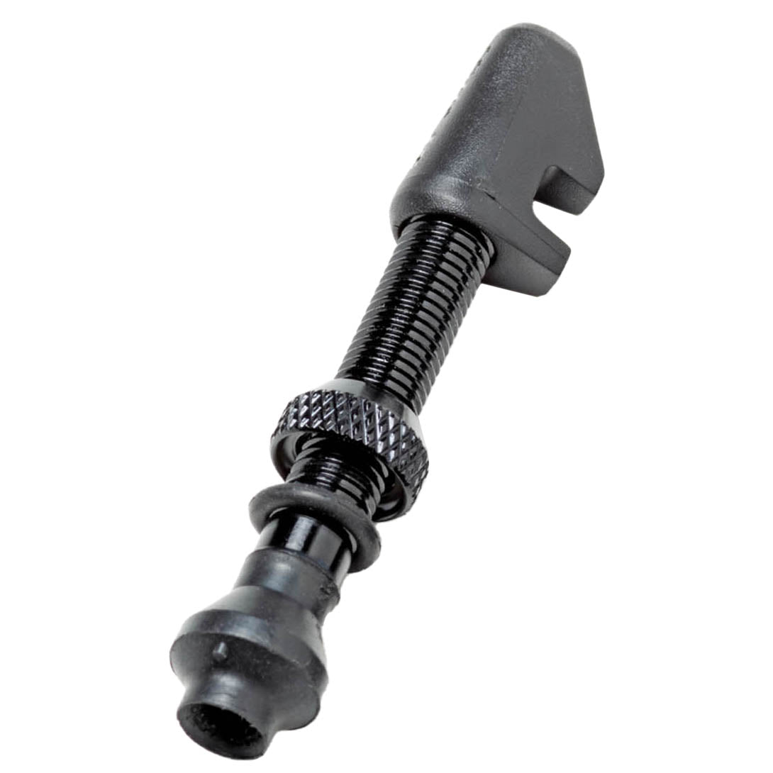 DT Swiss Aluminum Tubeless Valves