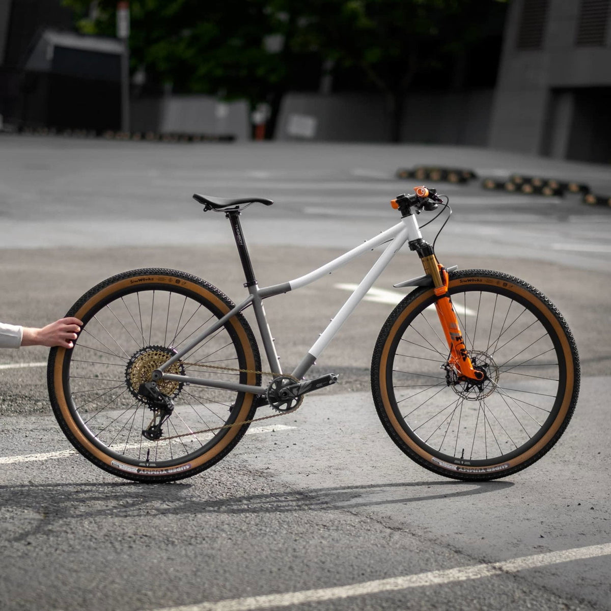 GW Fern Bully Titanium | Hardtail Mountain Bike