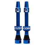 CushCore Valve Set