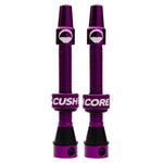 CushCore Valve Set
