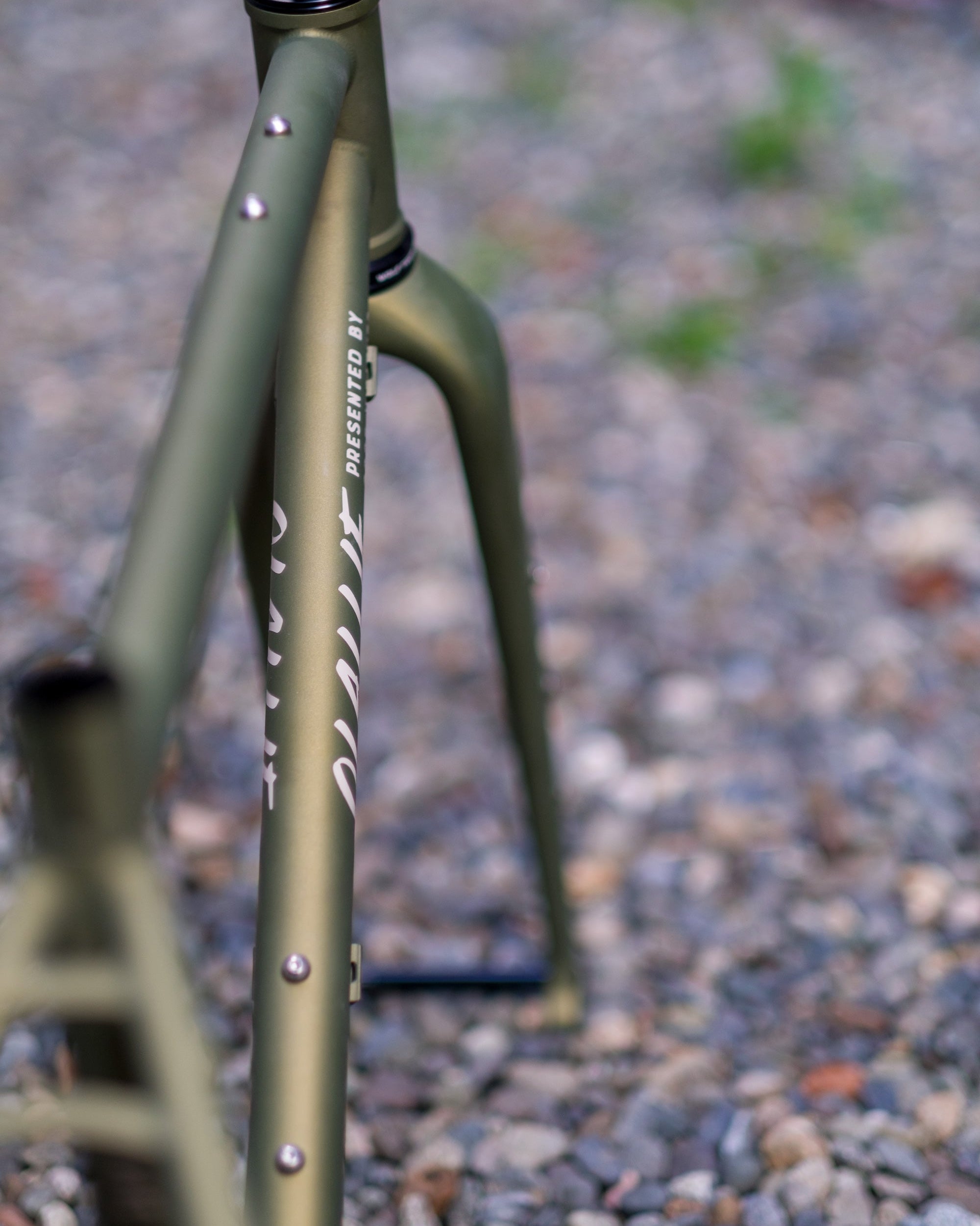 olive green gravel bike Olallie Bicycle