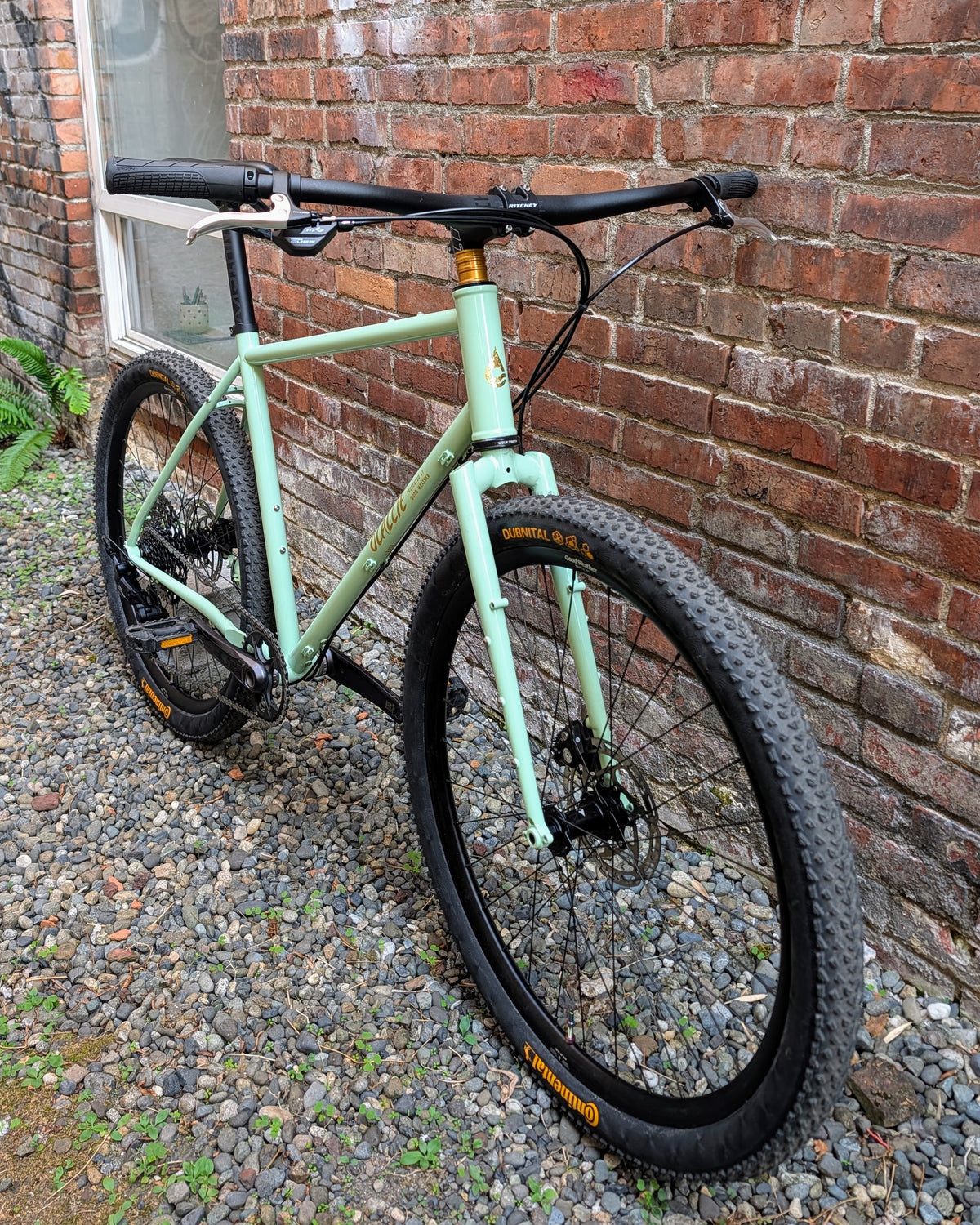 Mint Green Olallie Flat Bar Bicycle, Size Large, Shimano Cues 1x11