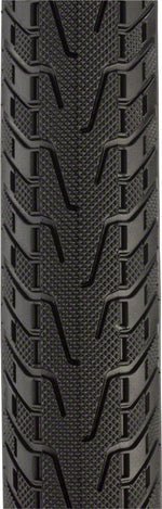 Panaracer Pasela Pro Tite Tire 700 X 35mm Tire Steel Black/Tan