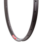 DT Swiss XM 481 29" Rim
