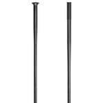 DT Swiss Competition Race SP Spoke - Black