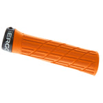 Ergon GE1 Evo Grips