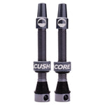 CushCore Valve Set
