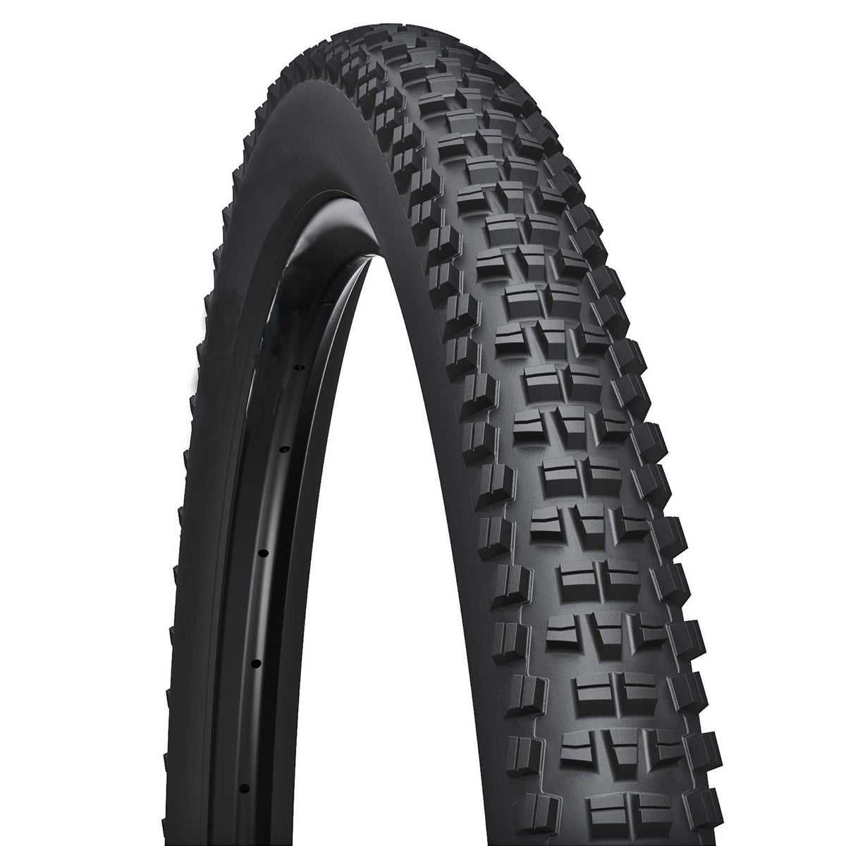 WTB Trail Boss 29" Tire
